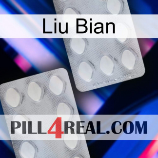 Liu Bian 17